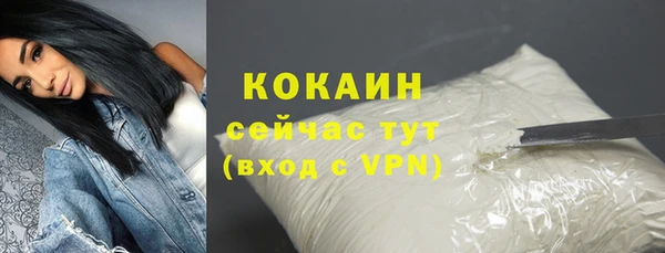 сатива Балахна