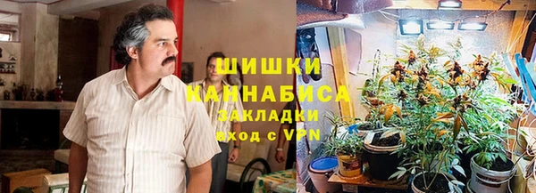 сатива Балахна