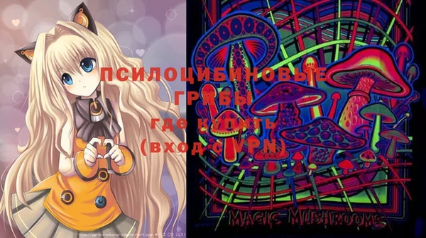стафф Балабаново