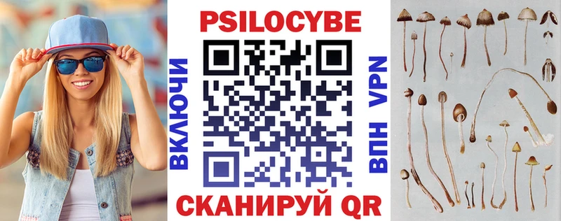 Галлюциногенные грибы MAGIC MUSHROOMS  купить  цена  Волосово 